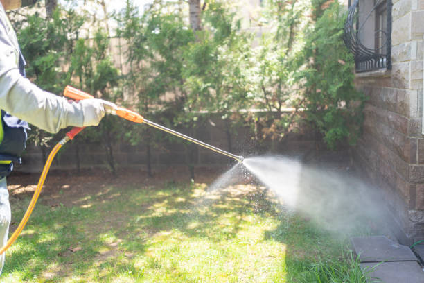 Best Bed Bug Extermination  in Frankford, DE